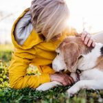 The Top Reasons to Consider Pet Insurance