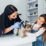 The Benefits of Routine Pet Care and Preventive Medicine